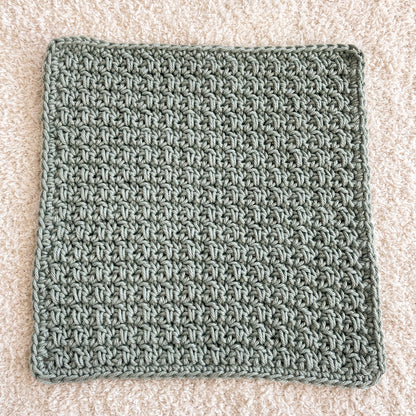 Basic Wash Cloth | Sea Foam