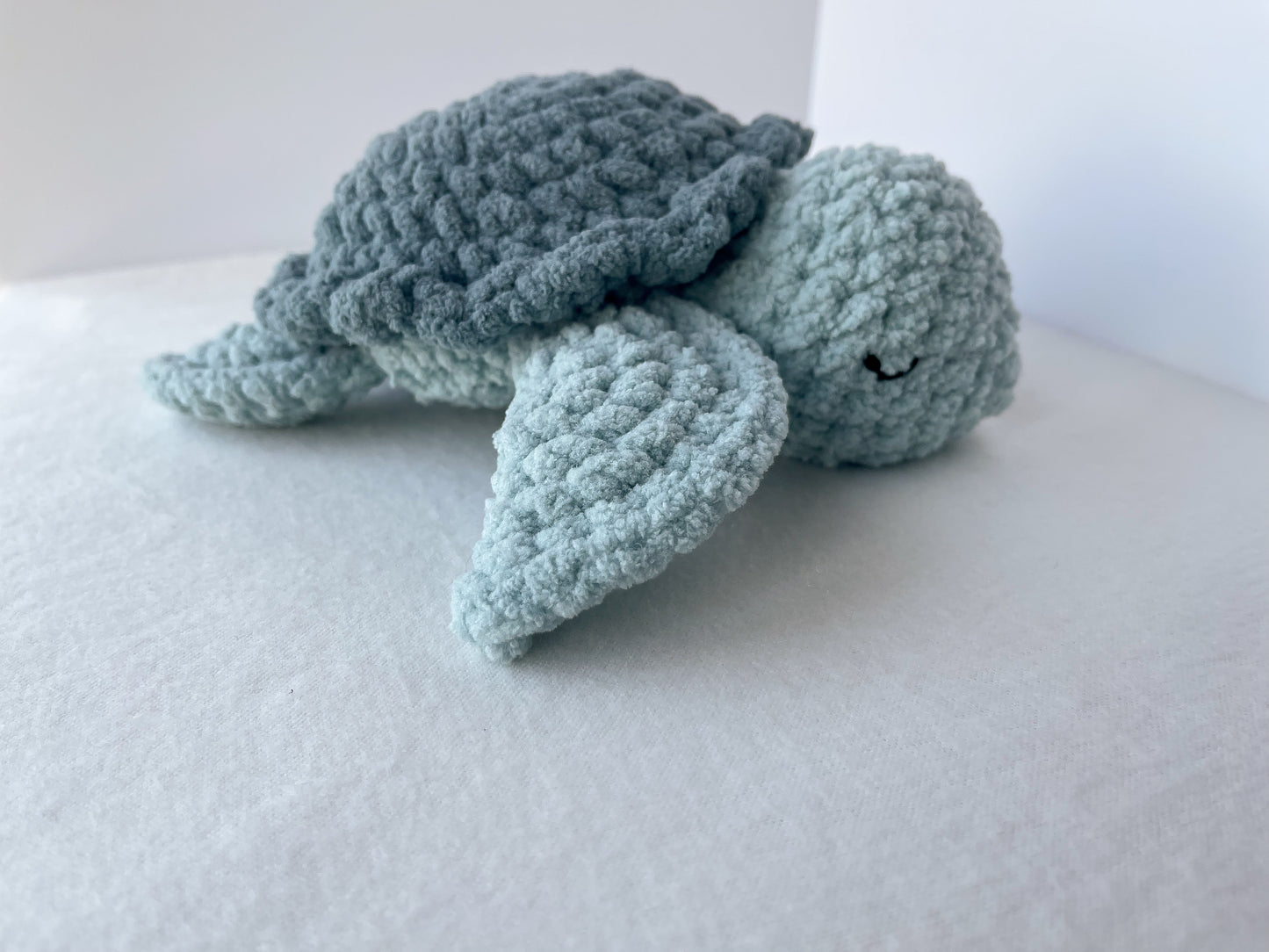 Sawyer Turtle (Blue)